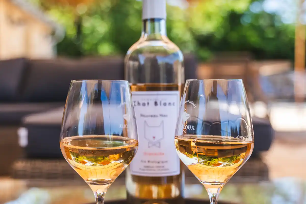 12e. Piscine Dégustation verre rosé Nouveau Nez - vue 1