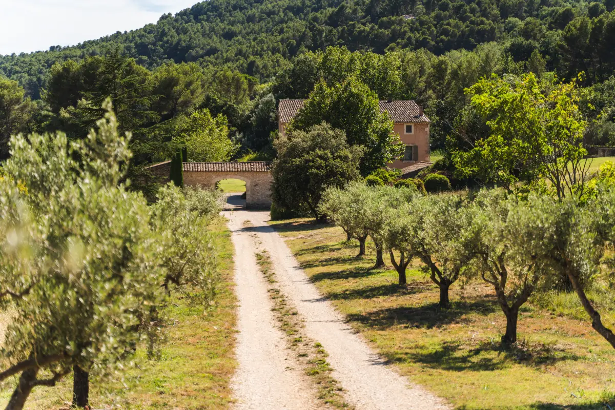 2e. Entrée allée oliviers - vue 2