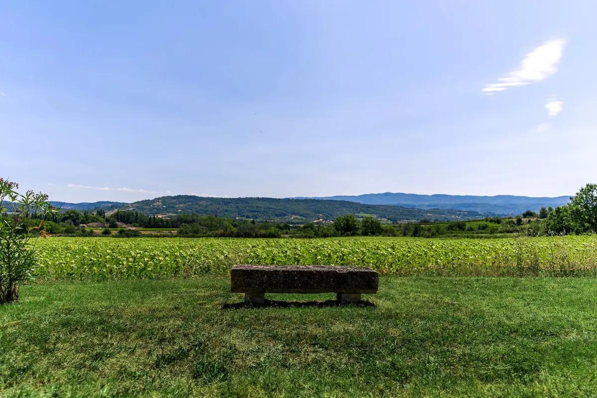 34e. Vue champ sud avec banc et tournesols